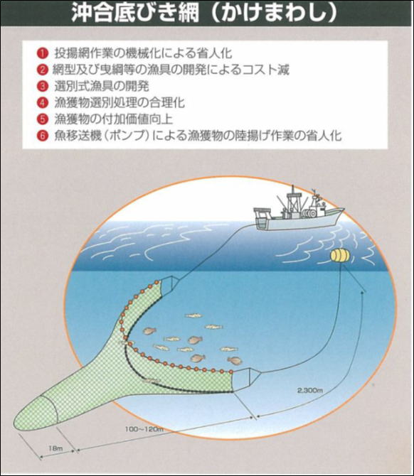 かけまわし漁法とは